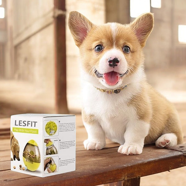 Pets IQ Treat Toys